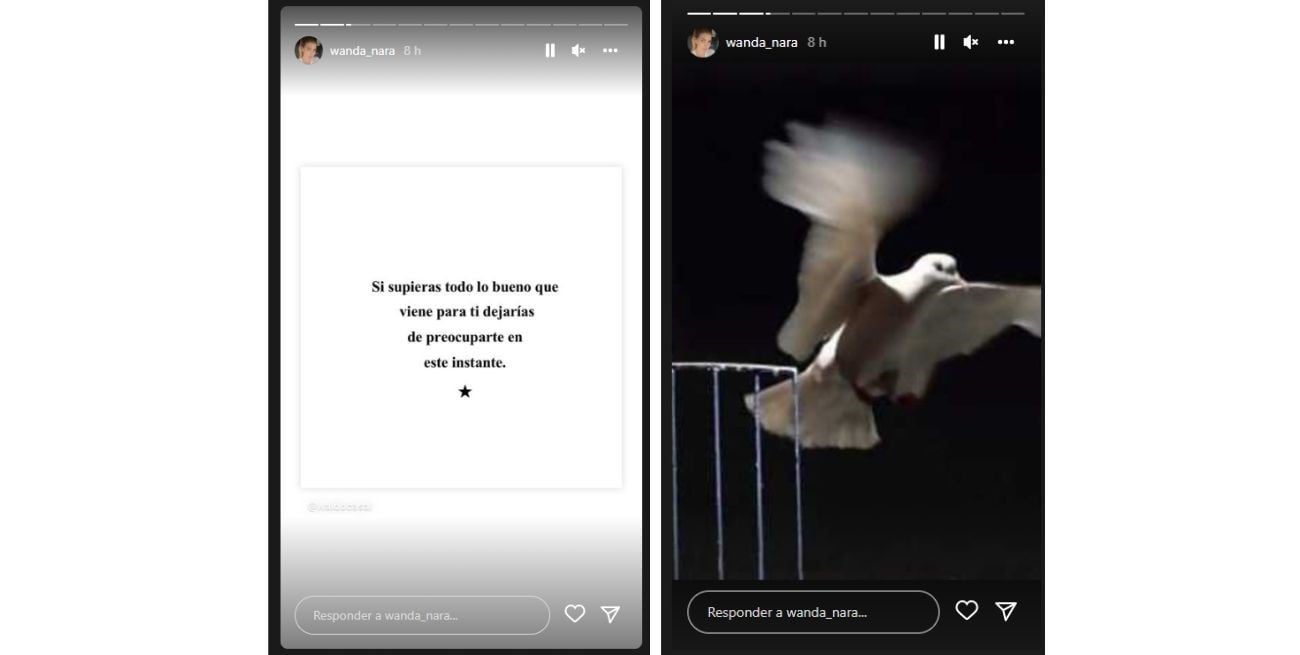 La empresaria publicó estas imágenes en sus historias de Instagram