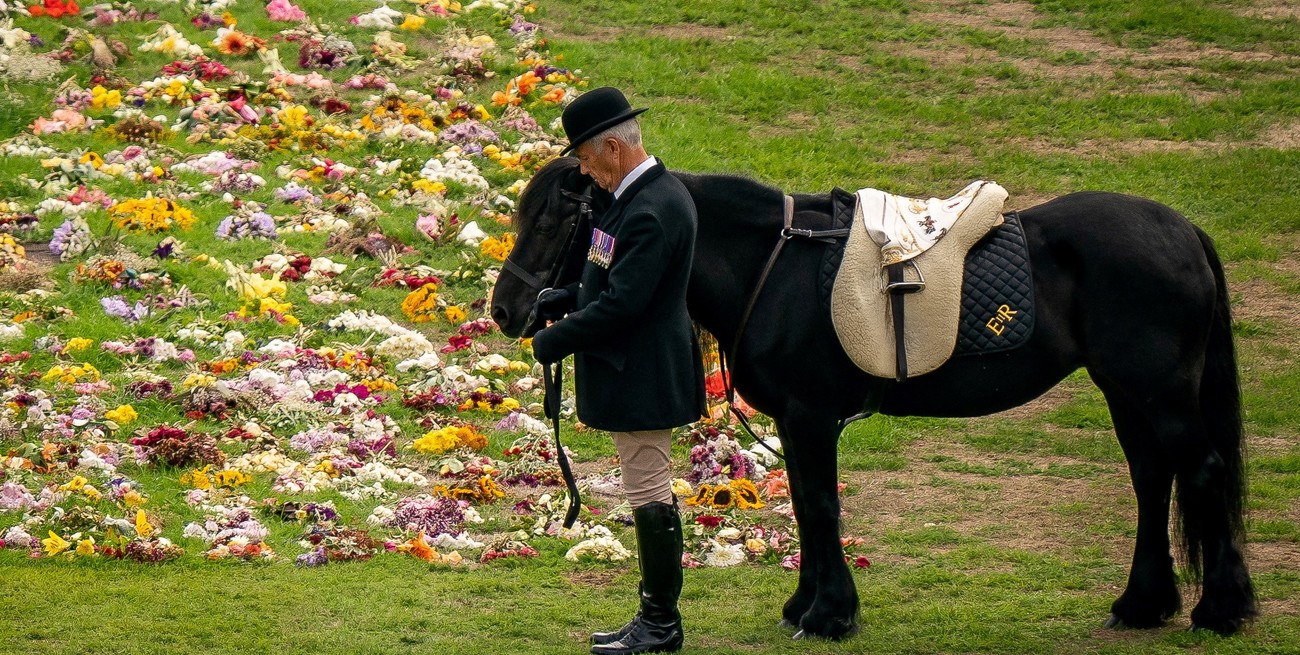 Emma, el pony de la monarca, se encuentra de pie mientras la Procesión Ceremonial del ataúd de la Reina Isabel II llega al Castillo de Windsor para el Servicio de Sepelio en la Capilla de San Jorge. Foto: vía Reuters