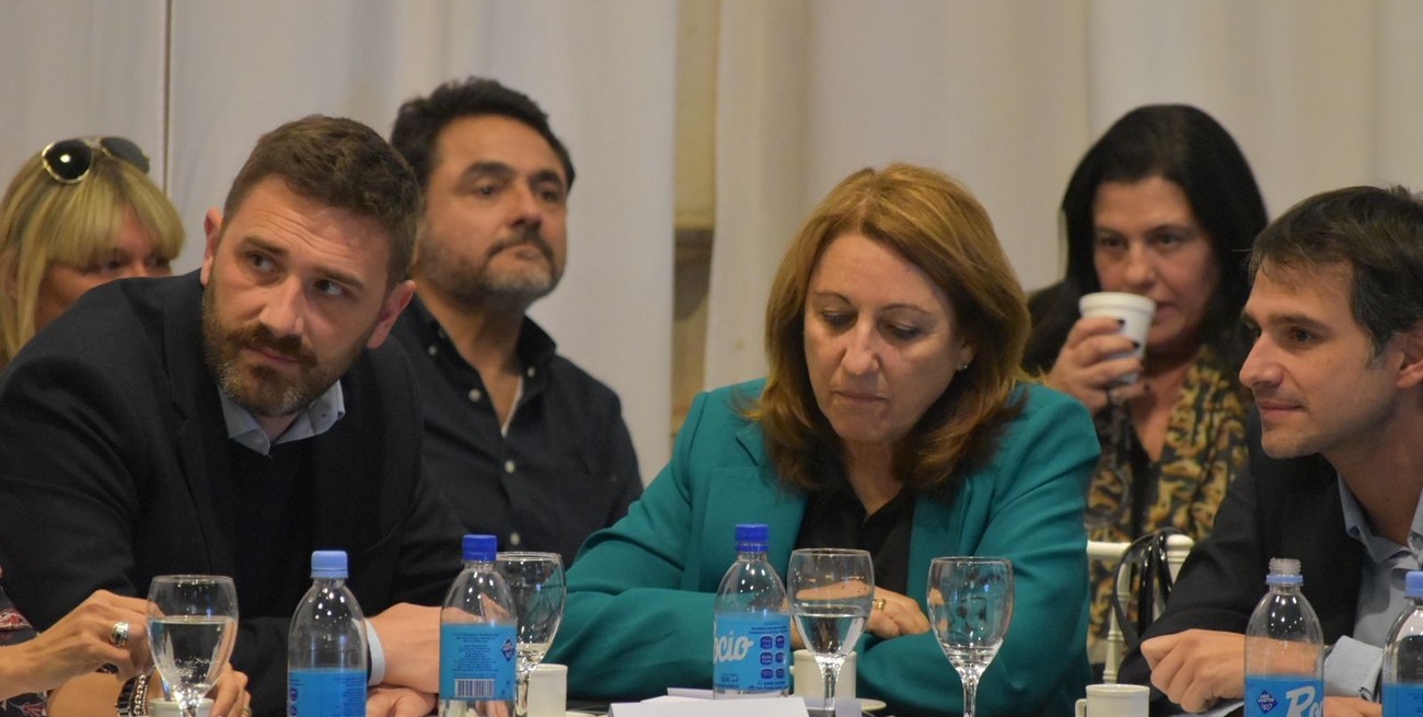 Mónica Fein.  Foto: El Litoral.