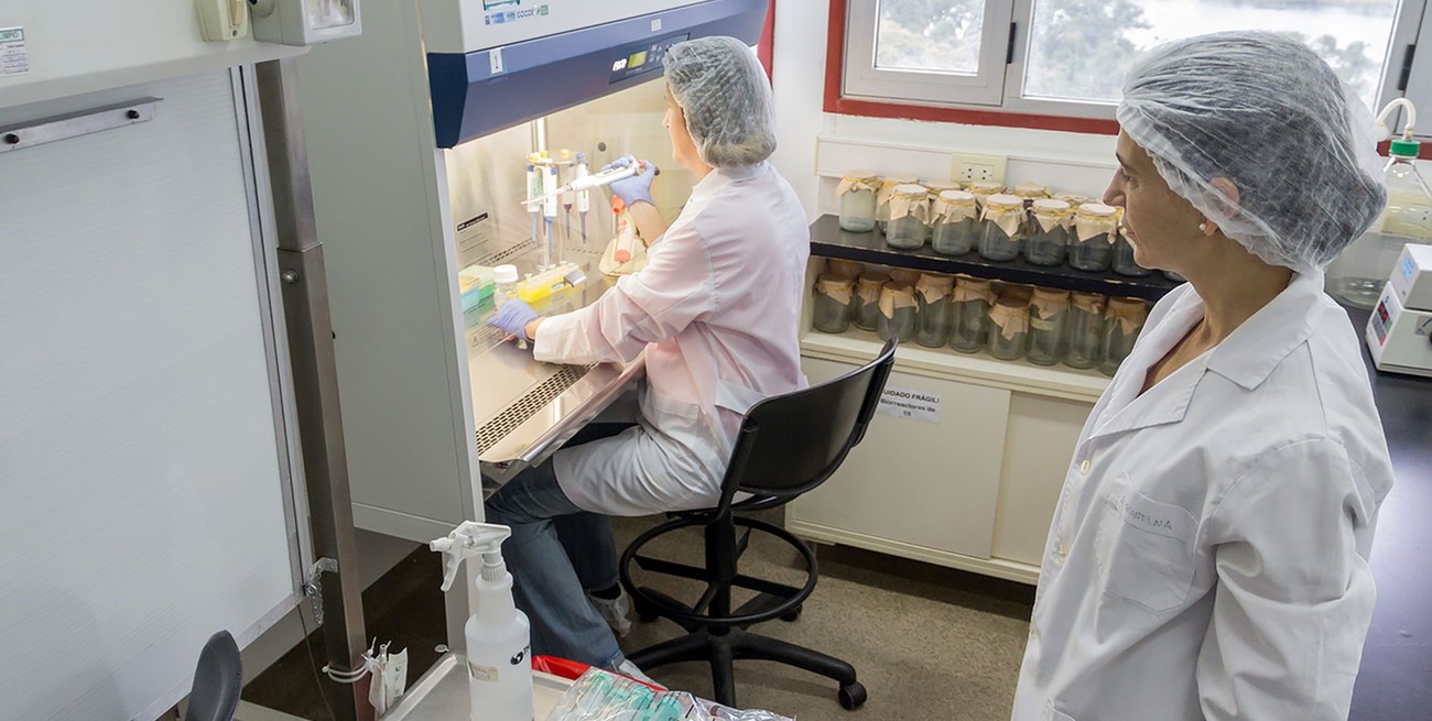 Instalaciones del Laboratorio Biotecnológico del Litoral.