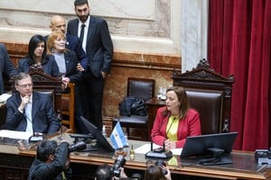 Si la previsión se confirma, Cecilia Moreau tendrá ocasión de presidir al menos una sesión extraordinaria antes de que termine el período formal. Crédito: NA.
