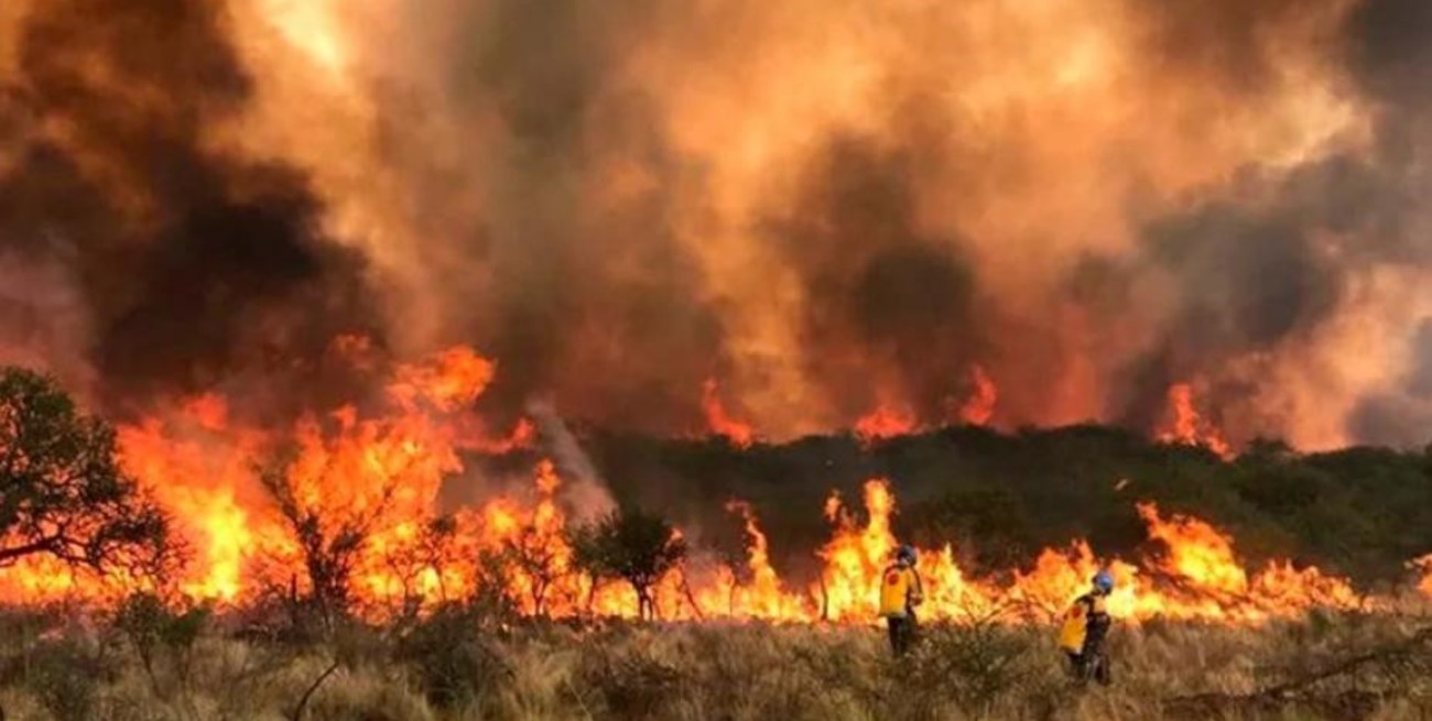 Esta situación climatológica y las heladas registradas durante las últimas semanas acrecientan la posibilidad de que se originen fuegos