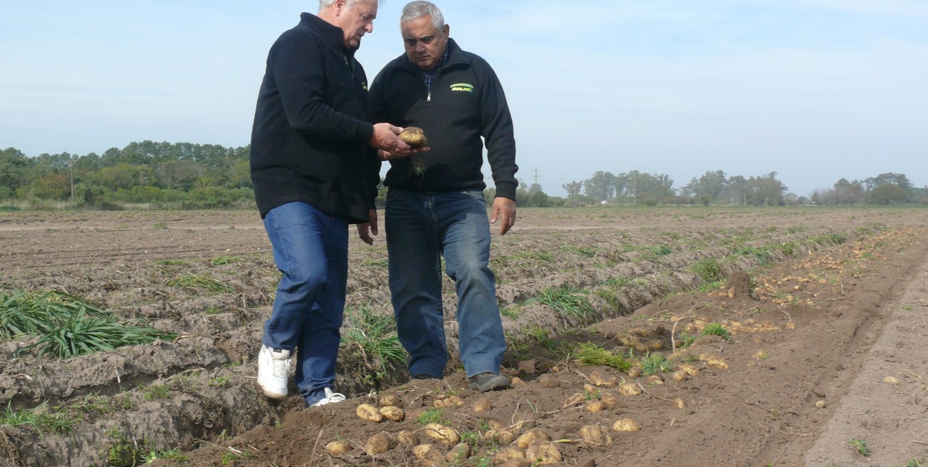 "Cacho" Selmi no pierde oportunidad para analizar con el ingeniero Daniel González el resultado productivo.