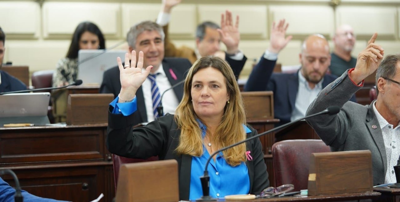 El propósito de los nueve radicales es sumar a otros sectores que los acompañaron para conformar un interbloque que tendría como coordinadora a la reelecta Silvana Di Stefano. Crédito: Archivo El Litoral