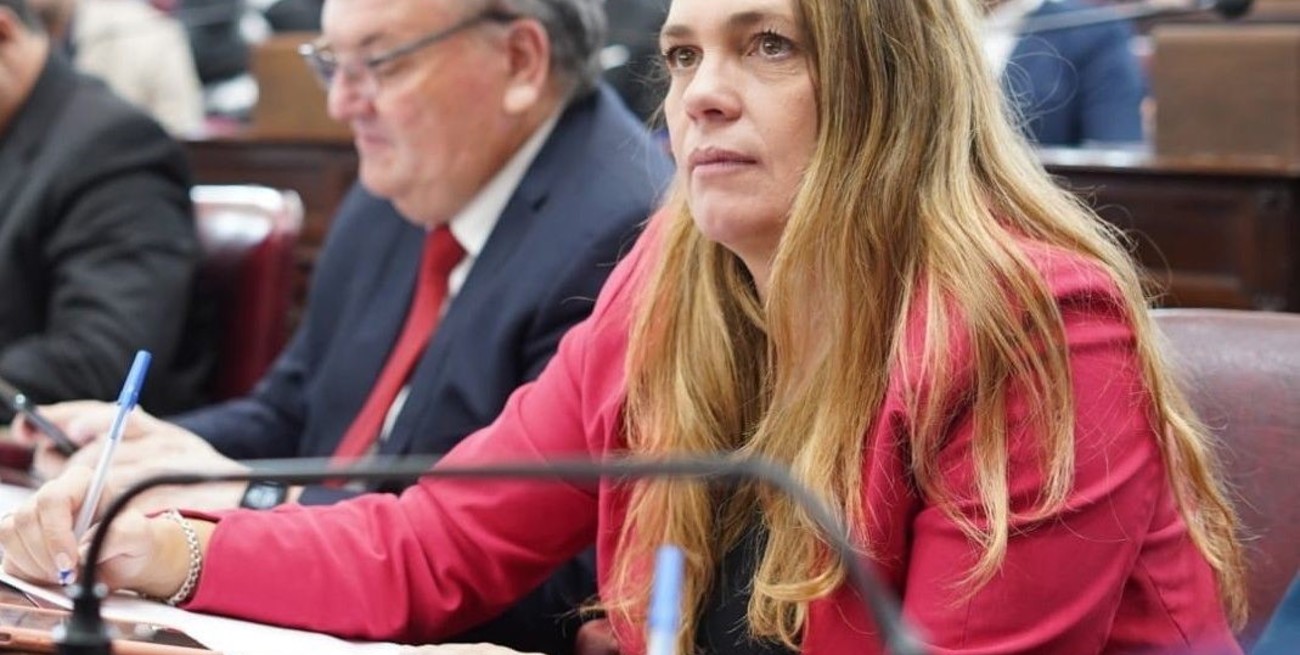 Finalmente Silvana Di Stefano sería presidenta del bloque provincial de diputados de la UCR a partir de la nueva gestión. Crédito: El Litoral