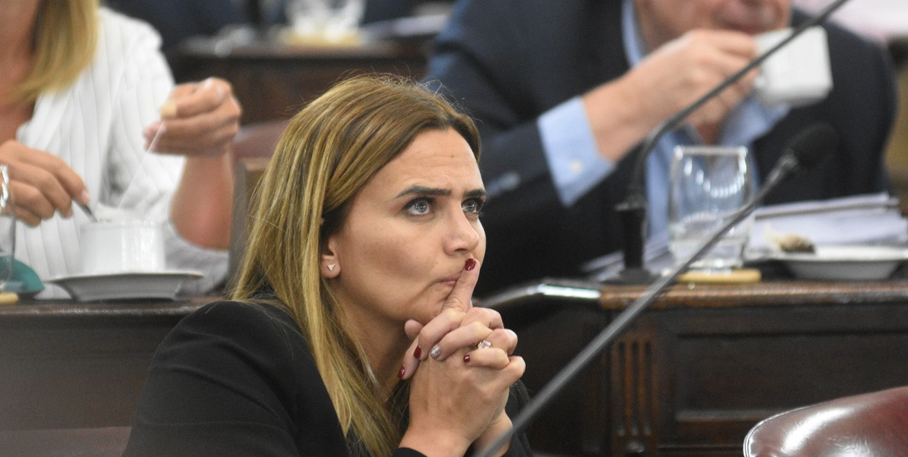 “Tuvimos muchos cruces en redes y es cierto que pude haber dicho palabras fuertes contra la diputada” Amalia Granata, lamentó el profesional. Crédito: Pablo Aguirre