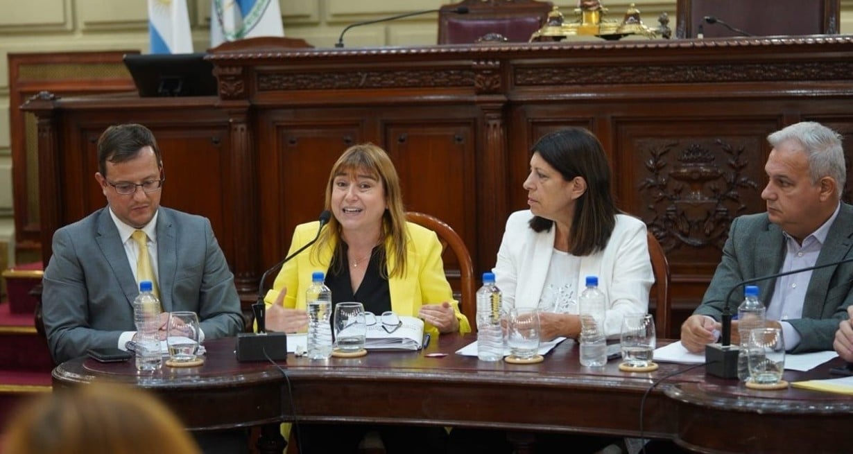 "Entendemos que no nos deben reducir", remarcó en varias ocasiones la defensora Estrella Moreno Robinson en el recinto legislativo.