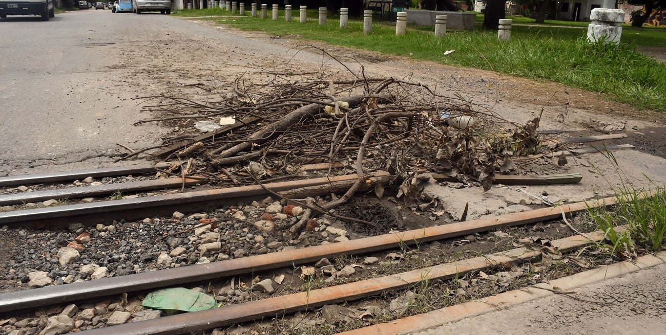 El principal peligro radica en que es una calle doble mano, por lo que esquivar el bache implica quedar de frente a otros conductores. Crédito: Guillermo Di Salvatore