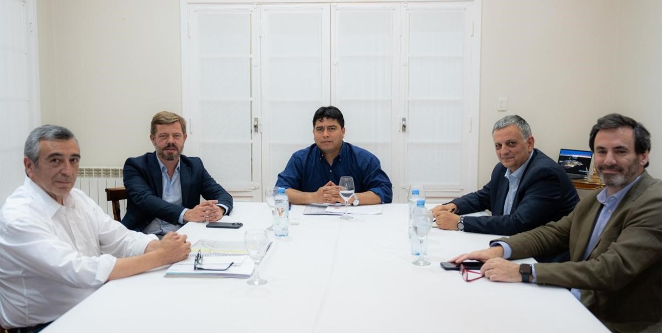 "Se trata de pozos maduros, algunos de ellos sin actividad, relegados por el boom del shale", se detalló un informe oficial.