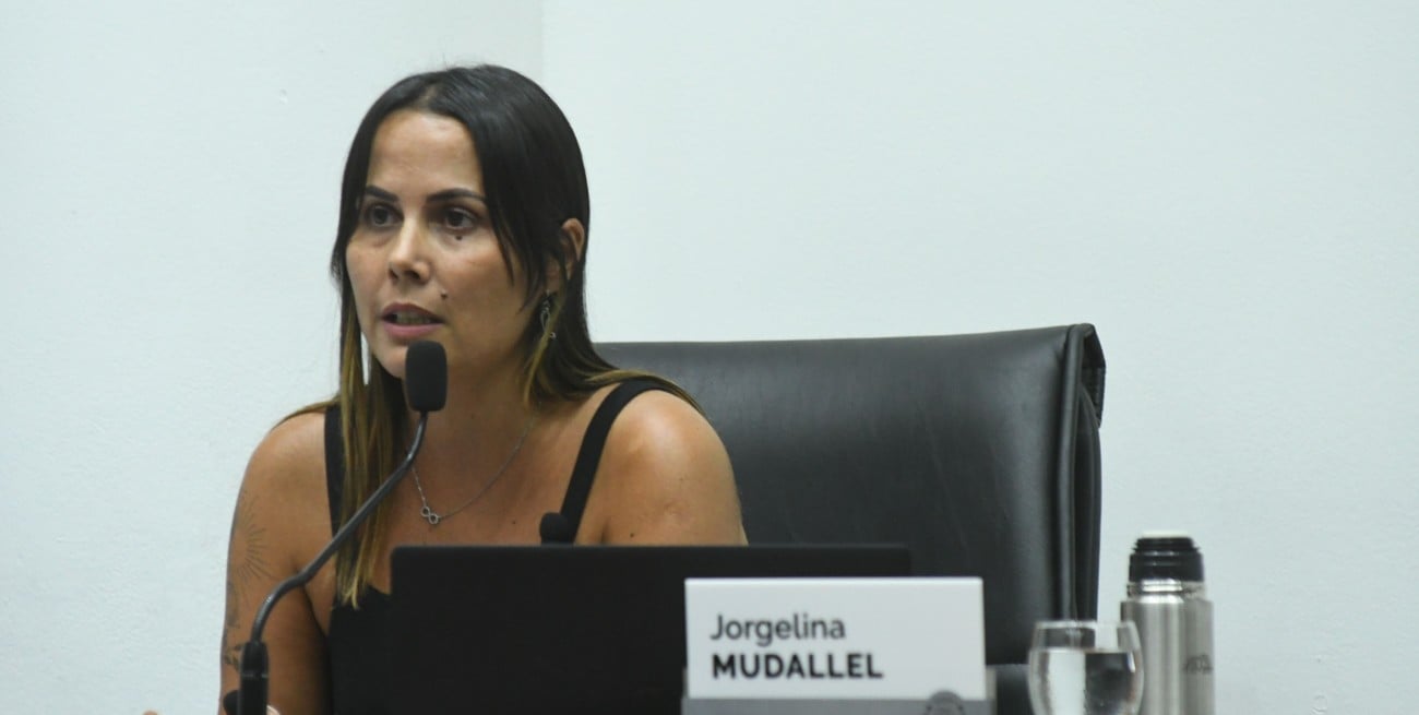 Con votos negativos en un artículo del bloque PJ (Jorgelina Mudallel y Jorge Fernández), la capital pasó a estar en emergencia en seguridad pública. Foto: Mauricio Garín