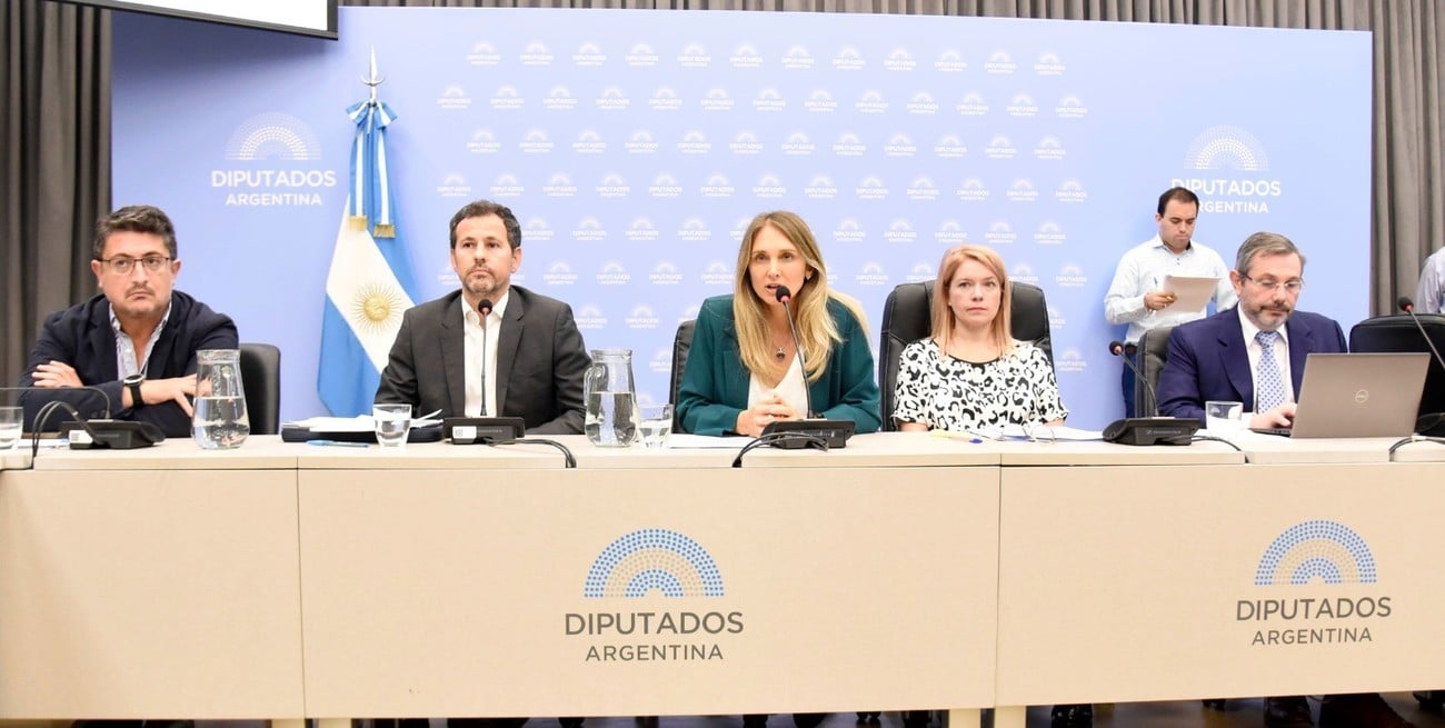 Comisión de Previsión y Seguridad Social Diputados Nacion