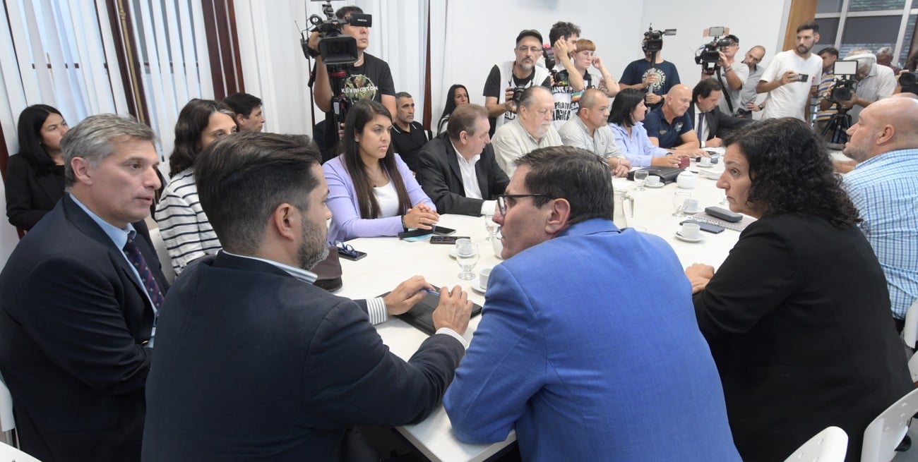 paritaria docente olivares bascolo goity