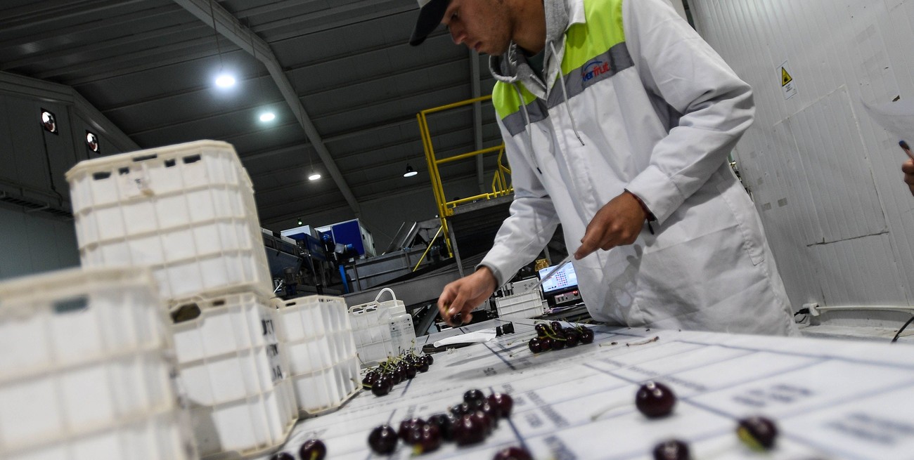 En el sector privado, la reducción de la producción y el aumento de impuestos han llevado a una menor contratación y, en muchos casos, al despido de trabajadores. Foto: Agencia Xinhua/Archivo