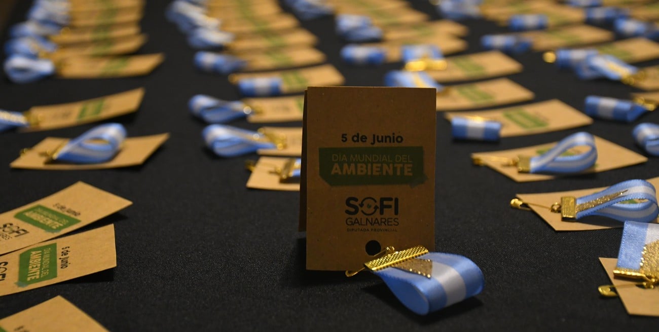 El proyecto de Ley de Voluntariado Ambiental de Galnares busca crear un programa provincial para fomentar la participación de los habitantes santafesinos. Foto: Manuel Fabatia