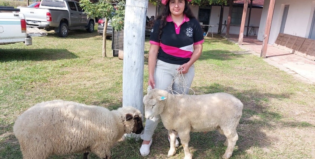 La opinión de los alumnos coincide en que “la experiencia resulta muy constructiva a partir del enfoque práctico de lo que será nuestra futura actividad profesional”.