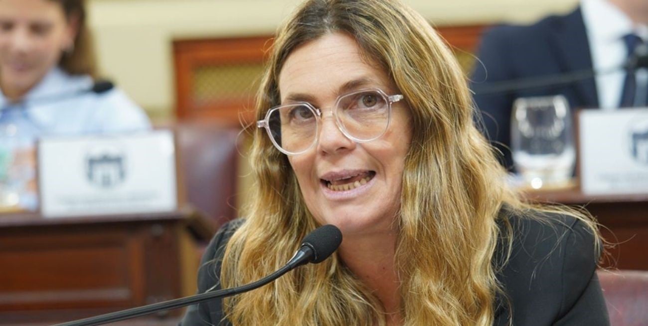 Silvana Di Stefano, diputada provincial en Santa Fe y jefa del Bloque de la UCR.