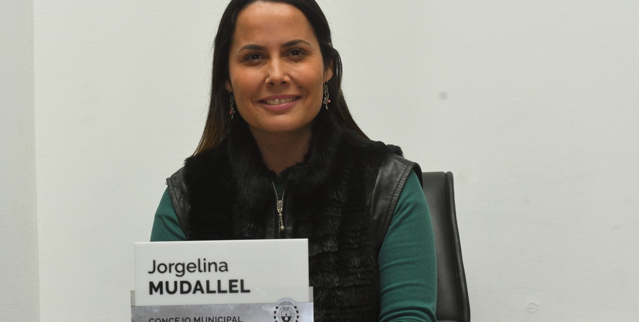 Mudallel aseguró que "hoy hay más de 600 proyectos", subrayando que esta cifra continuará creciendo a medida que se reciban nuevos reclamos. Foto: Mauricio Garín