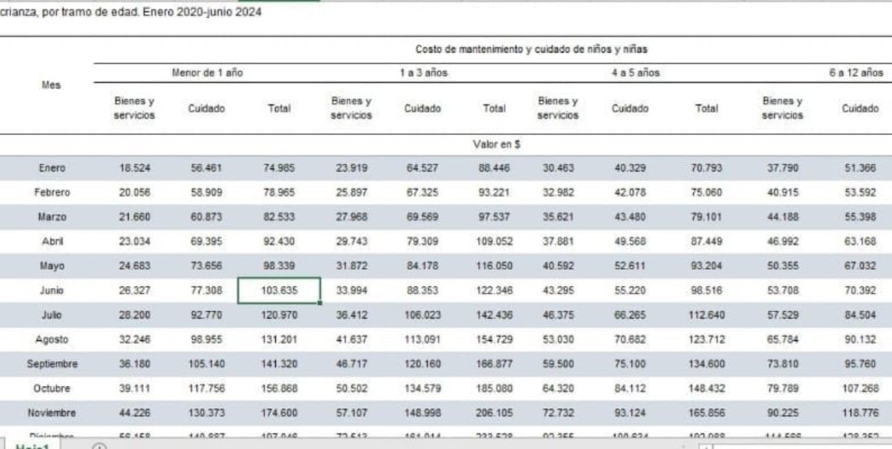 Fuente: INDEC Serie Canasta de crianza, por tramo de edad. Enero 2020 junio 2024