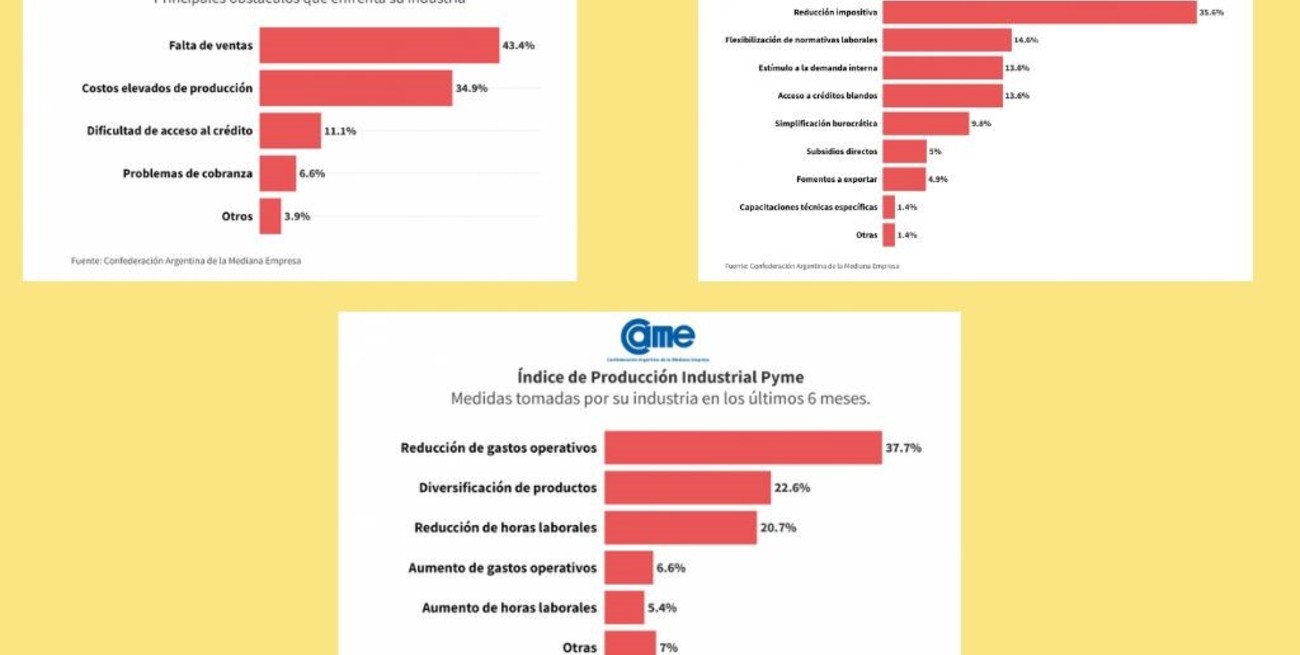 Fuerte caída de la industria pyme en el primer semestre: principales dificultades del sector
