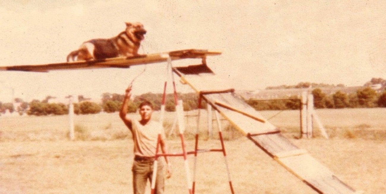 Foto: Gentileza