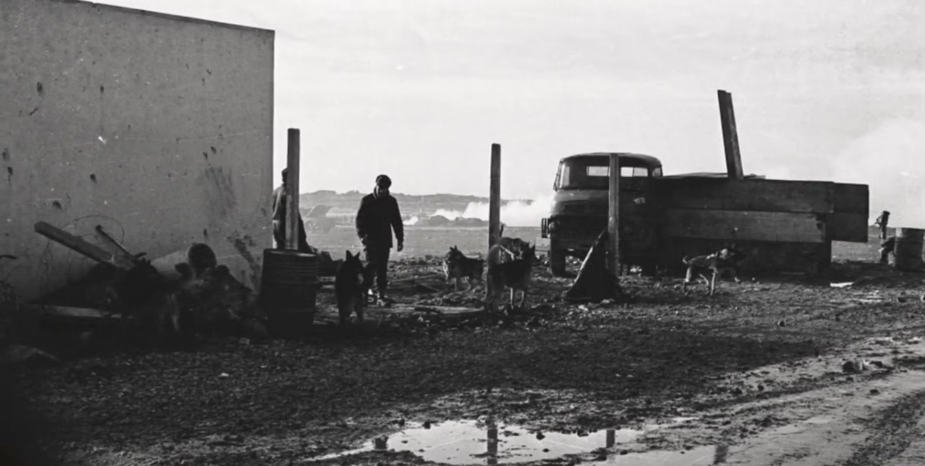 Foto: Gentileza