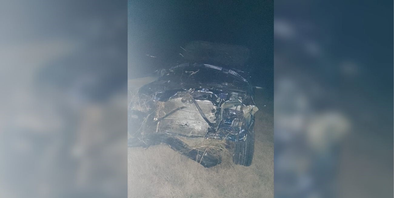 El impacto fue ante un vacuno de mediano tamaño.