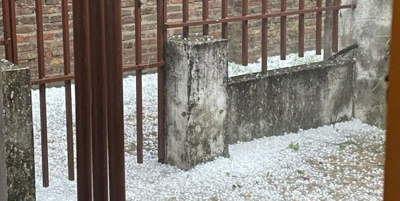 Santacroce indicó temprano que se registró “mucha agua y piedra, una violencia extrema del viento. Se caen los árboles, los arranca como si fuese un plantín".