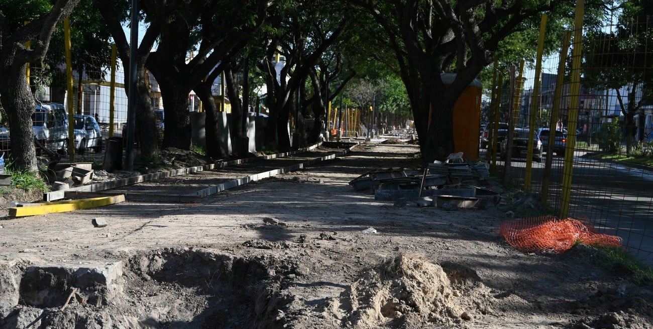 La obra prosigue con el trabajo en suelo para nuevas veredas y bicisenda. Foto: Manuel Fabatía