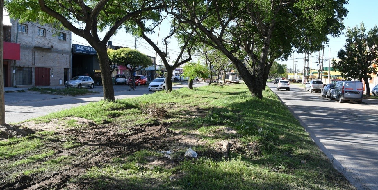 Cuadra del cantero central aún no intervenida. Foto: Manuel Fabatía
