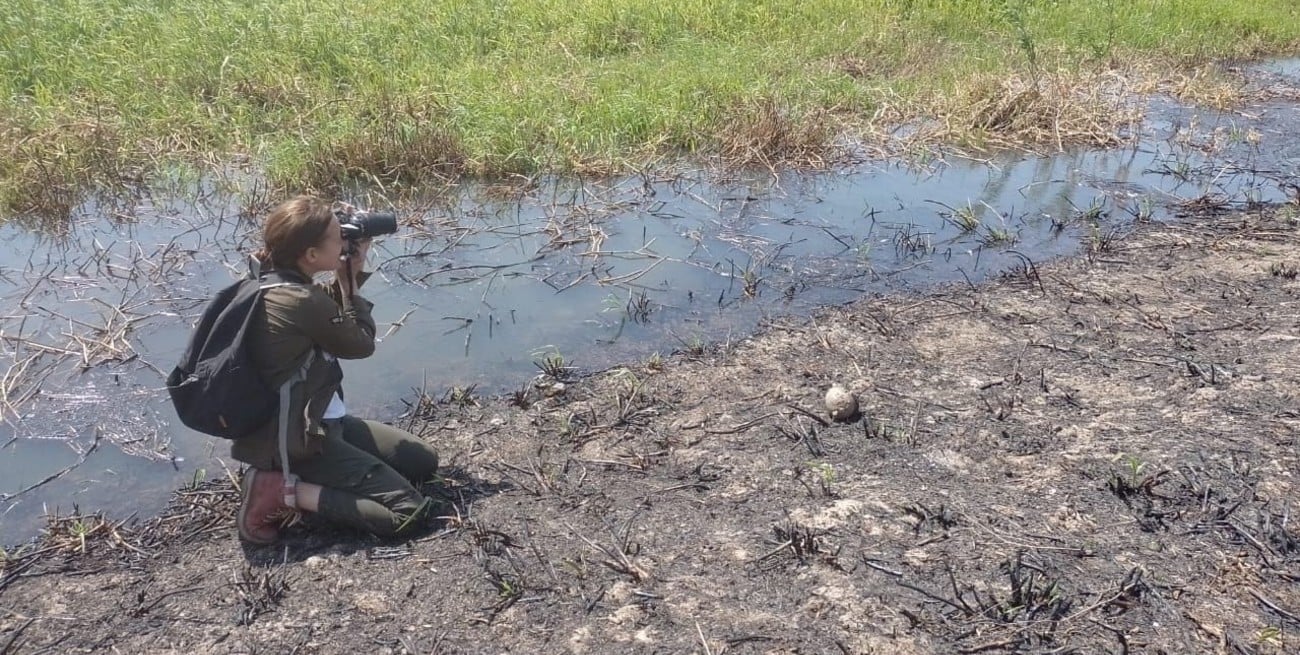 El área natural protegida ubicada en la Isla de Los Sapos, debajo del Puente Carretero, es donde se realizaron los muestreos de suelos con distinto historial de incendios.