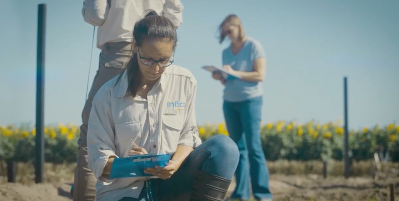 Además del arroz, la tecnología se está probando en otros cultivos. Foto: Gentileza Conicet