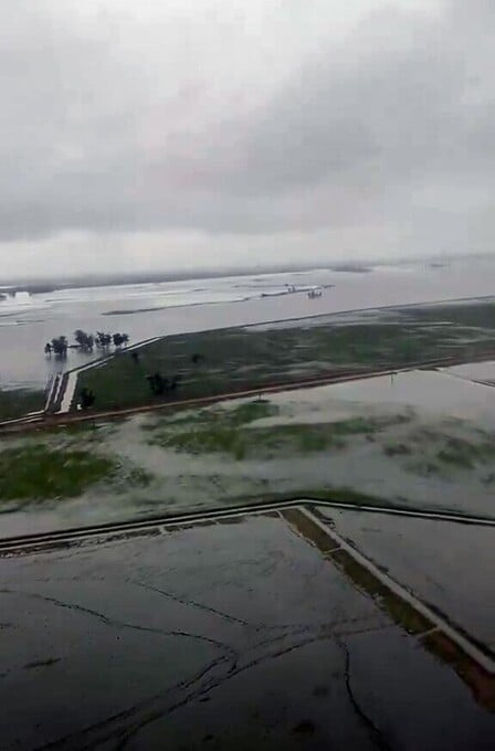 El sector agropecuario uruguayo afectado.