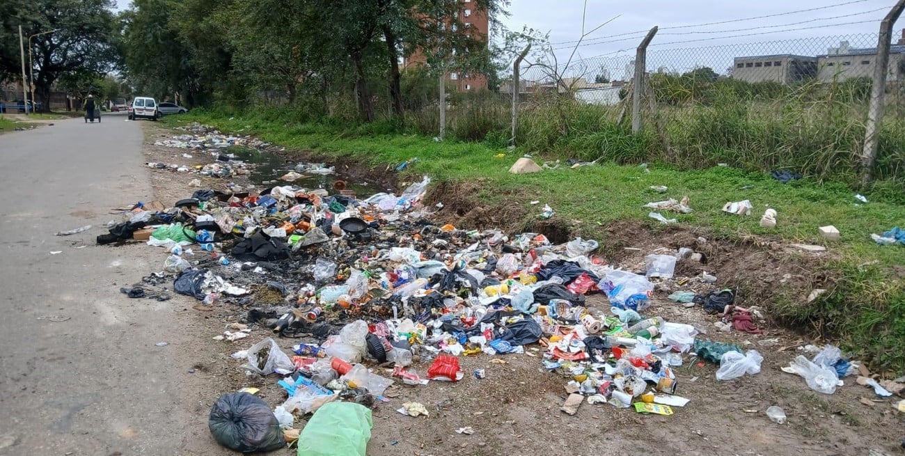 La Municipalidad junta la basura del microbasural pero enseguida la gente vuelve a dejar residuos ahí. Foto: Gentileza escuela