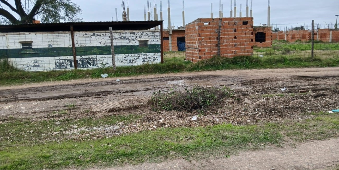 En la zona hay descampados y un plan de vivienda inconcluso, lo que colabora a que el problema se agrave. Foto: Gentileza escuela