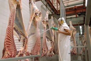 ELLITORAL_401443 |  Pablo Lasansky zzzznacp2NOTICIAS ARGENTINAS BAIRES, JUNIO 2: (ARCHIVO) FrigorÃ­ficos exportadores y supermercados negocian con el Gobierno para intentar destrabar la suspensiÃ³n de exportaciones de carne vacuna, pero por ahora se mantienen en su oferta de garantizar un volumen para el mercado interno de unas 16.000 toneladas mensuales.Foto NA: PABLO LASANSKYzzzz