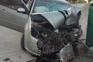 El automóvil era conducido por un hombre, de 29 años, de nacionalidad venezolana.