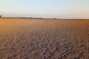 La histórica sequía que atraviesa el sur de Santa Fe sigue haciendo estragos en el medioambiente