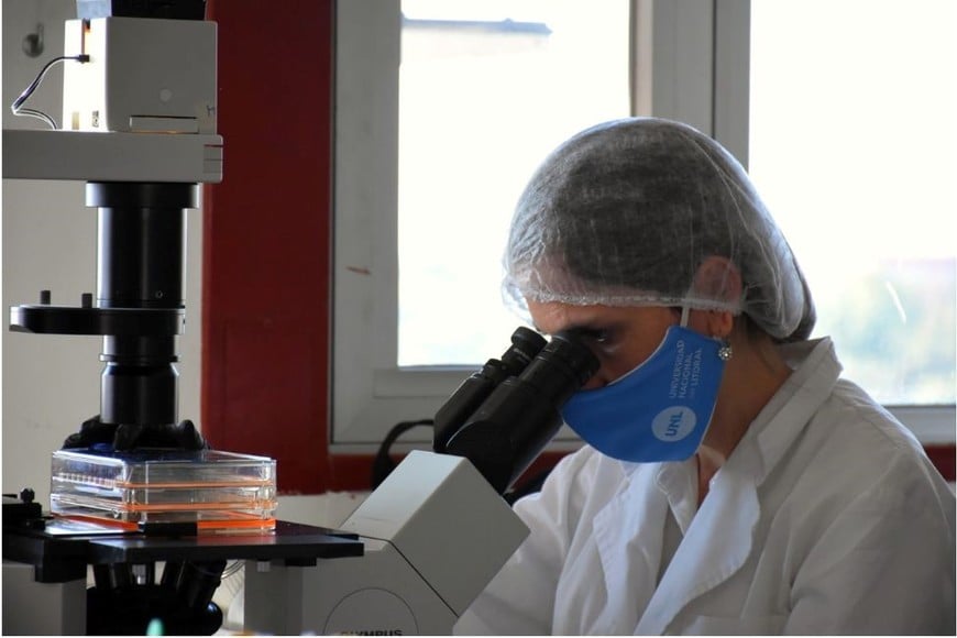 Biosynáptica está integrada por bioquímicos formados en la Universidad Nacional del Litoral (UNL) y cobijados en los laboratorios de esa casa de estudios. Crédito: Archivo.