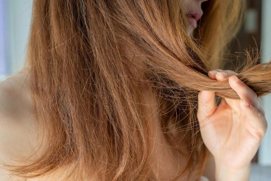 El uso frecuente de la plancha puede dejar el pelo seco y con puntas abiertas.