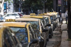 ELLITORAL_426265 |  Mirador Provincial Taxis, ¿cuántos hacen falta para el millón de habitantes? Rosario achicó las calles, pintó sendas peatonales, agrandó las veredas y todavía ensaya el Transporte Urbano. Ensaya y falla.