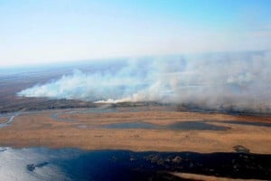 ELLITORAL_304512 |  Twitter Pablo Javkin La zona de islas frente a Rosario afectada  por incendios