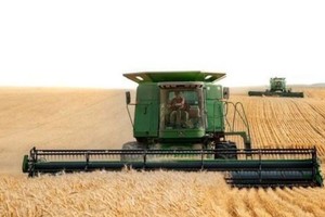 Lestani pronosticó que “a fines de agosto o comienzos de septiembre va a haber una mayor liquidación de grano”.