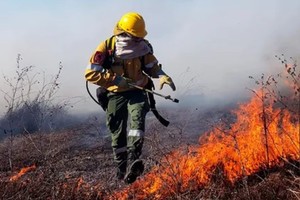 Las provincias de Jujuy y Entre Ríos registran focos activos de incendios forestales.