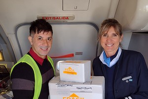 Cristian Piedrabuena del Cudaio y Alejandra Francisco, comisario de a bordo de cabotaje regional de Aerolíneas Argentinas.