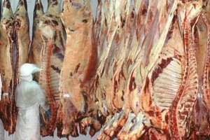 En una reunión de la Mesa Técnica entre la Secretaria de Agricultura y las provincias, las autoridades nacionales anunciaron la anulación de la resolución conjunta que obligaba la salida de carne en trozos inferiores a 32 kg a partir del 15 de enero.
