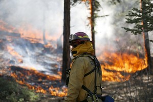 A firefighter monitors a wildfire as it spreads to the road near Jenks Lake in the San Bernardino National Forest, California, United States, June 18, 2015. Wildfires raging in three West Coast states have forced more than 1,000 people to be evacuated from their homes this week in blazes that mark an early start to what experts say may be a particularly destructive fire season. REUTERS/Lucy Nicholson eeuu california  eeuu incendio forestal en parque nacional San Bernardino incendios forestales parques nacionales
