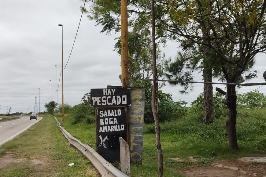 Salado. El río desemboca en el Coronda, aguas abajo de Varadero Sarsotti. Fernando Nicola