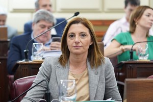 "Brilloni no puede desconocer la situación ya que hace tiempo que está en el Ministerio de Seguridad cumpliendo funciones, más allá de que ahora sea ministro", sostuvo la diputada Florito.