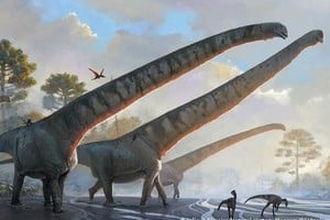 El saurópodo sobresalía por encima de otros dinosaurios con un cuello de 15 metros de largo.