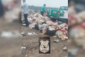 Se necesitaron cuatro camionetas de la Municipalidad para trasladar la carne podrida para su decomiso en el relleno sanitario.
